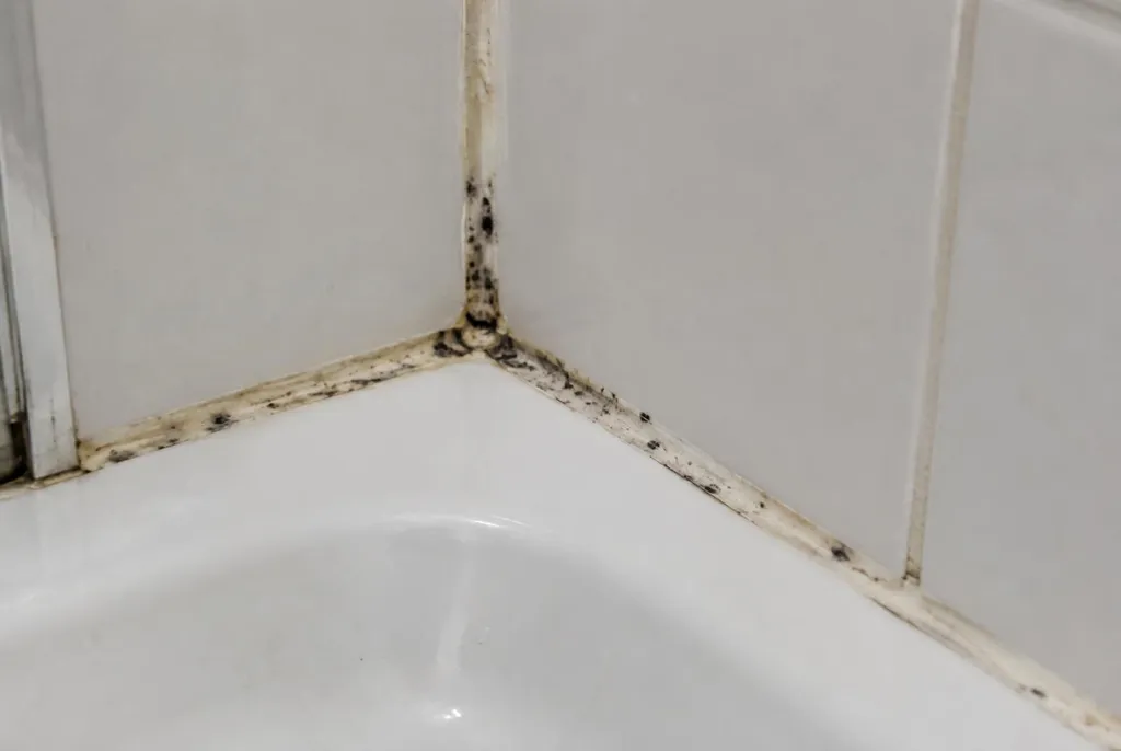 Kitbedrijf Hoogland – beschimmelde kitranden